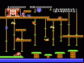 Donkey Kong Jr.