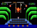 Donkey Kong 3