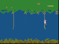 Jungle Hunt