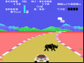 Safari Race