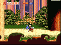 World of Illusion Starring Mickey Mouse and Donald Duck