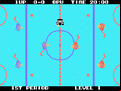 Champion Ice Hockey