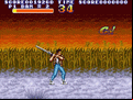 Sengoku