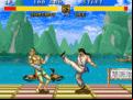 Fighter’s History