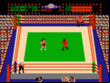 Tag Team Wrestling