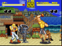 Fatal Fury