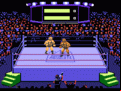 Title Match Pro Wrestling