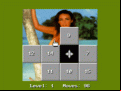15 Move Hole Puzzle