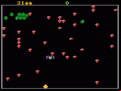 Centipede