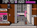 Ninja Gaiden (Shadow Warriors)