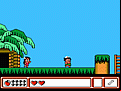 Hudson’s Adventure Island IV