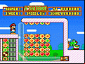 Yoshi’s Cookie