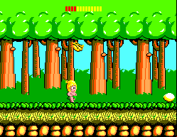 Wonder Boy (Sega Master System)