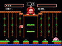 Donkey Kong Jr. Math