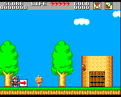 Wonder Boy in Monster Land (Sega Master System)