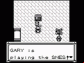 Pokémon Blue Version