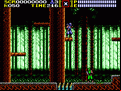 Ninja Gaiden