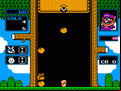 Wario’s Woods