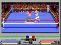 4D Sports Boxing