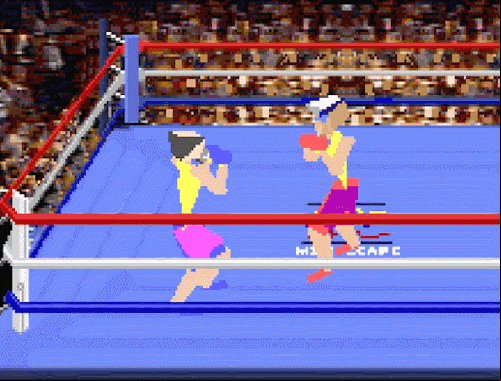 4D Sports Boxing