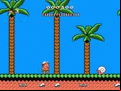 Hudson’s Adventure Island II