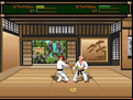 Budokan: The Martial Spirit