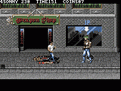 Double Dragon III: The Sacred Stones