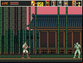 Revenge of Shinobi, The