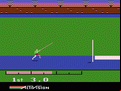 Activision Decathlon, The