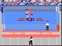 Pro Wrestling