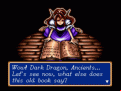 Shining Force: The Legacy of Great Intention